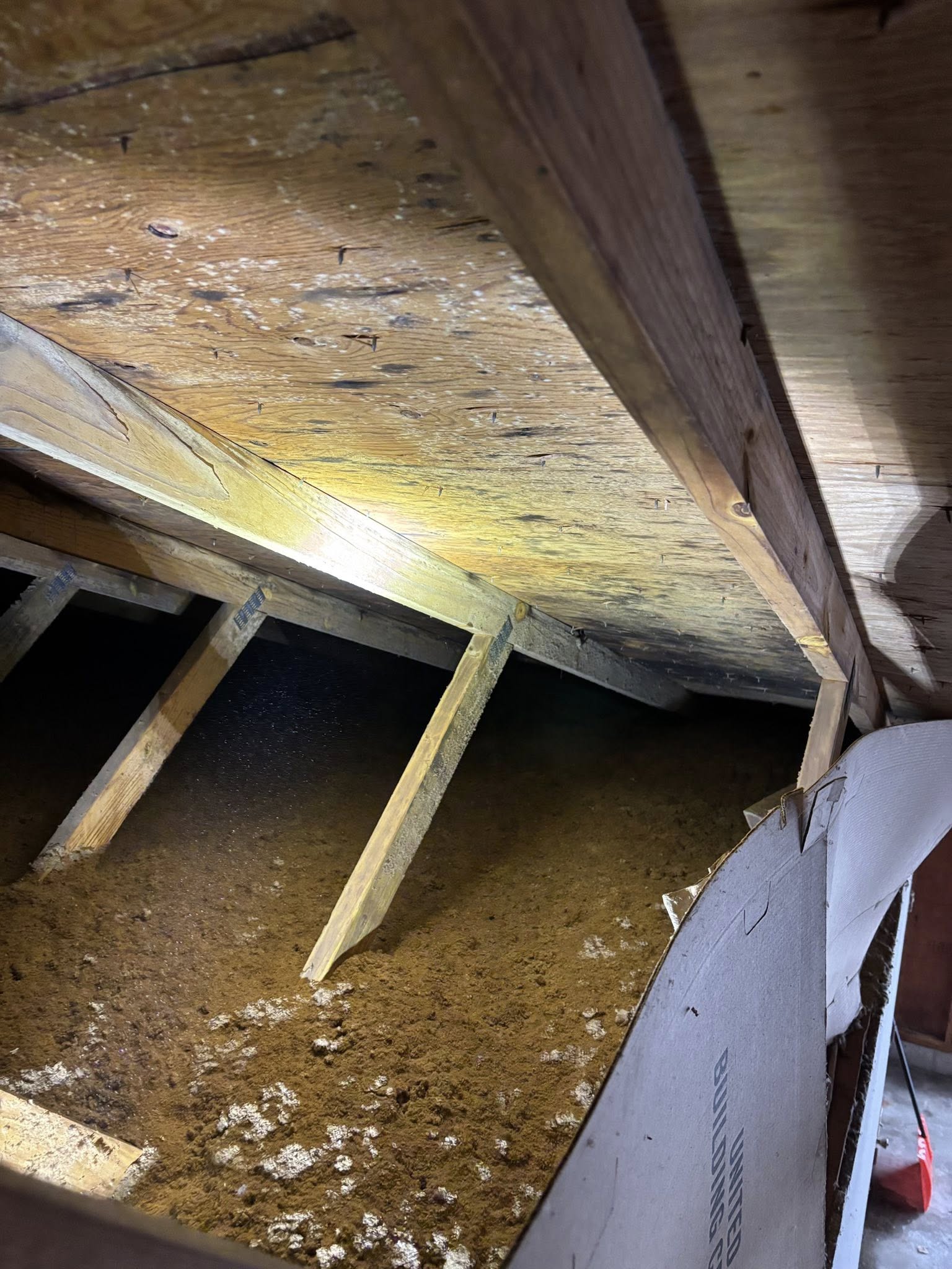 Attic with mold and moisture damage before remediation